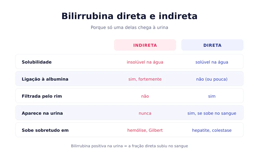 Tabela comparativa entre bilirrubina indireta e direta: solubilidade, ligação à albumina, filtração renal, presença na urina e causas típicas