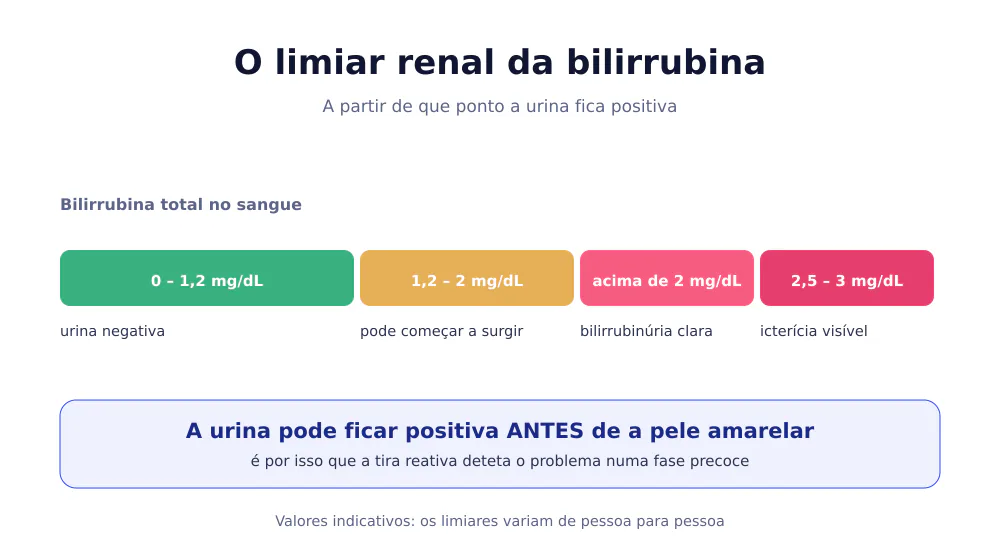 Barra que relaciona a bilirrubina total no sangue com o aparecimento na urina e com a icterícia visível