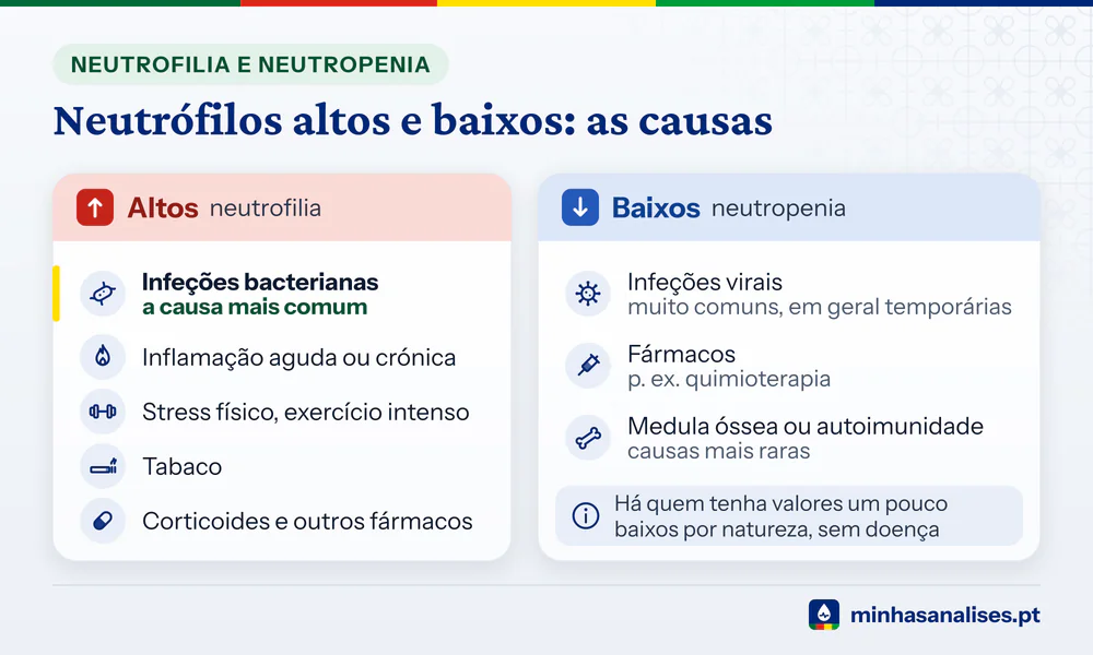 Causas de neutrófilos altos (bactérias, inflamação, stress, tabaco, corticoides) e baixos (vírus, fármacos, medula óssea)