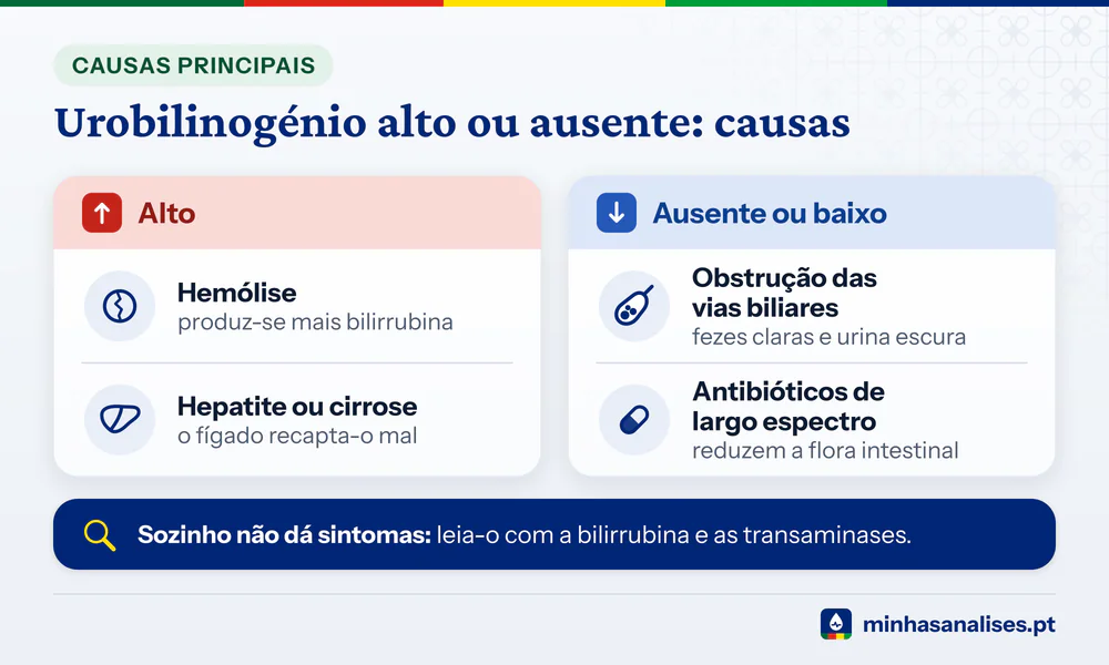 Duas colunas: urobilinogénio alto por hemólise, hepatite ou cirrose; ausente ou baixo por obstrução biliar ou antibióticos