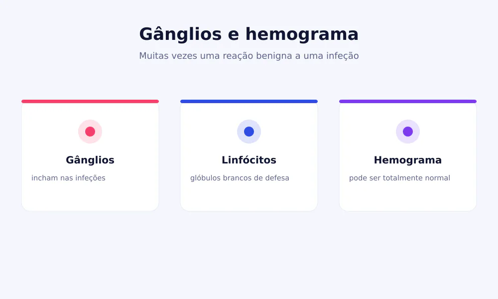 Esquema dos gânglios linfáticos e do hemograma: os gânglios incham nas infeções e os linfócitos são glóbulos brancos de defesa