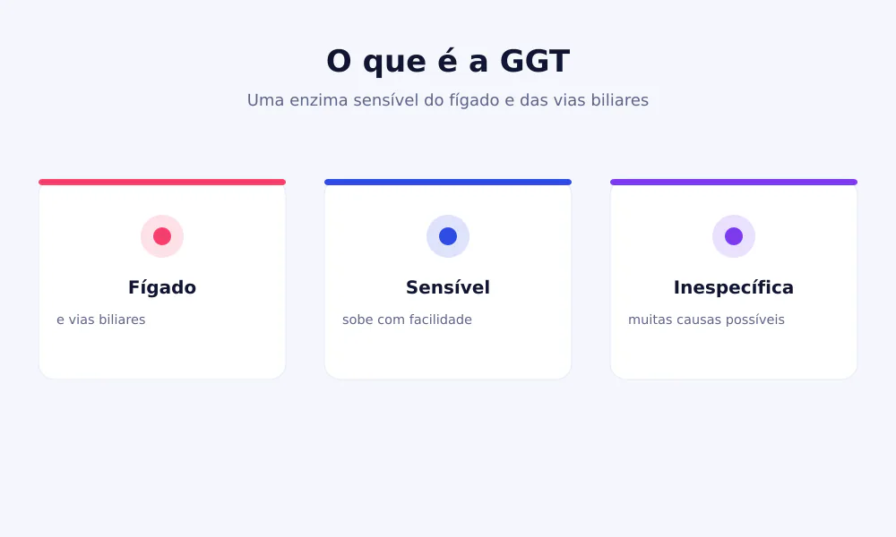 Esquema da GGT, enzima do fígado e das vias biliares