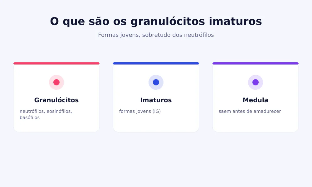 Esquema dos glóbulos brancos: neutrófilos, eosinófilos e basófilos são os granulócitos, ao lado dos linfócitos e monócitos