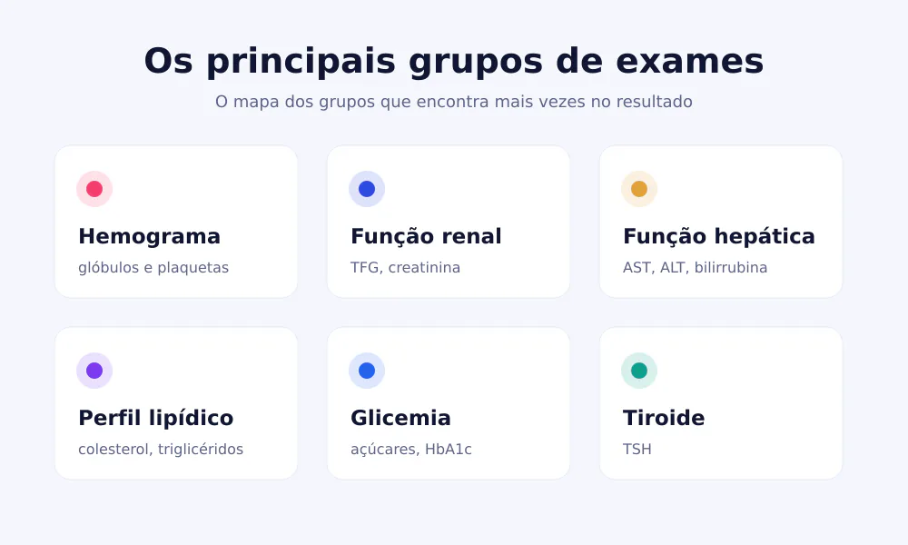 Infografia dos principais grupos de análises de sangue: hemograma, função renal, função hepática, perfil lipídico, glicemia e tiroide