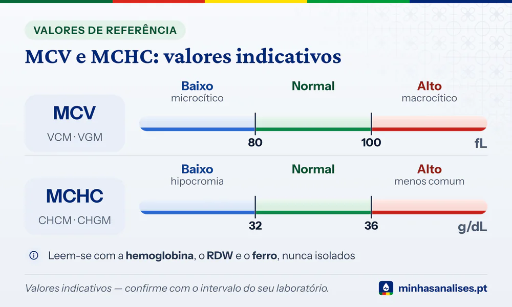 Duas barras de referência: MCV normal entre 80 e 100 fL e MCHC normal entre 32 e 36 g/dL, com as zonas baixa e alta