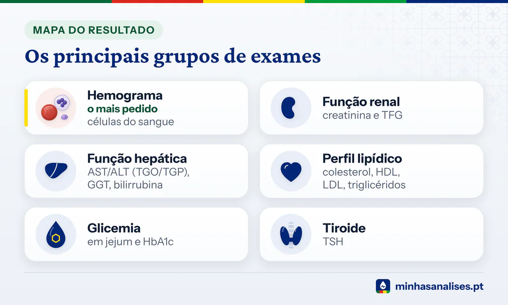 Seis cartões com os grupos de exames de sangue: hemograma, função renal, função hepática, perfil lipídico, glicemia e tiroide