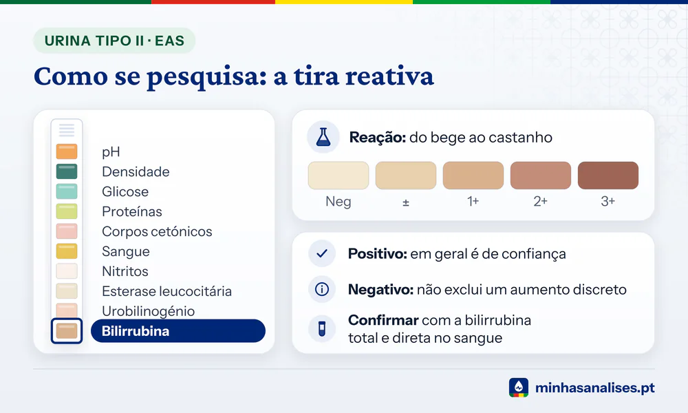Tira reativa de urina com dez almofadas identificadas e a da bilirrubina destacada, que passa do bege ao castanho