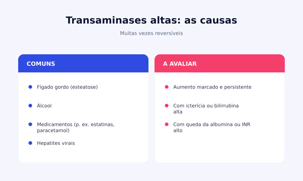 Causas das transaminases altas: fígado gordo, álcool, medicamentos, hepatites virais