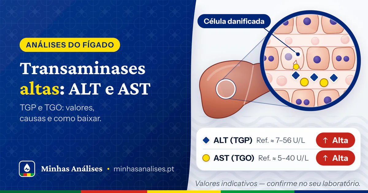 Fígado e ampliação das suas células: uma danificada liberta as transaminases ALT e AST no sangue; resultado com ambas altas