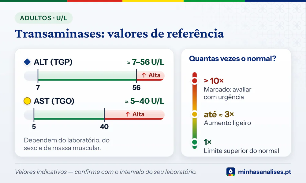 Barras da ALT (cerca de 7–56 U/L) e da AST (cerca de 5–40 U/L) e escala do aumento: ligeiro até ≈ 3×, marcado acima de 10×