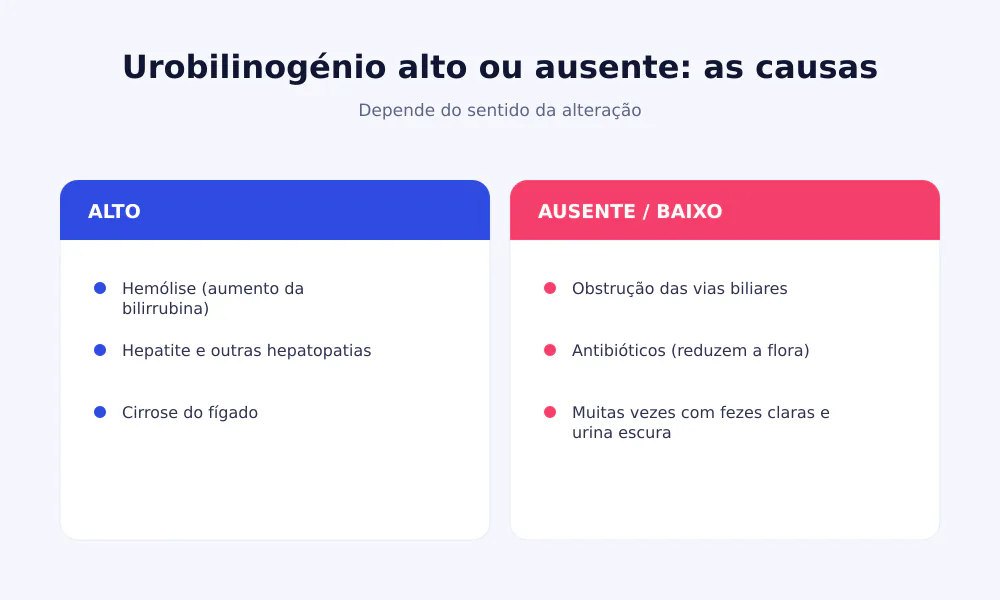 Causas de urobilinogénio alto (hemólise, hepatite, cirrose) e de urobilinogénio ausente ou baixo (obstrução biliar, antibióticos)