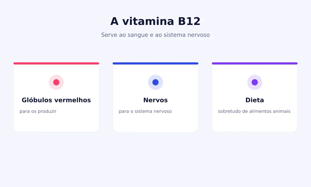 Esquema da vitamina B12: serve aos glóbulos vermelhos e aos nervos e chega de alimentos de origem animal